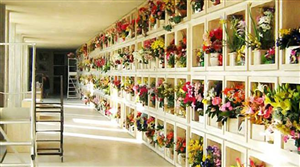 Richiesta di concessione di loculi cimiteriali
